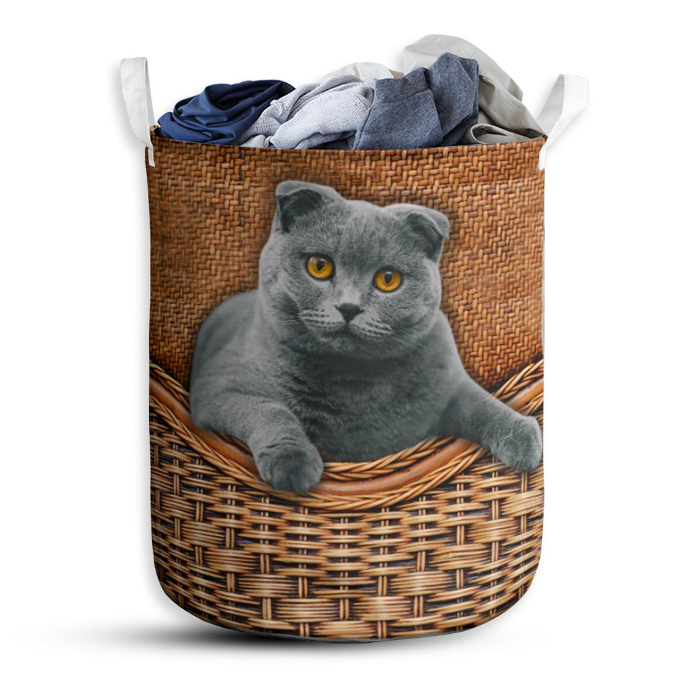 Scottish Fold Cat Rattan Texture - Laundry Basket - Owls Matrix LTD