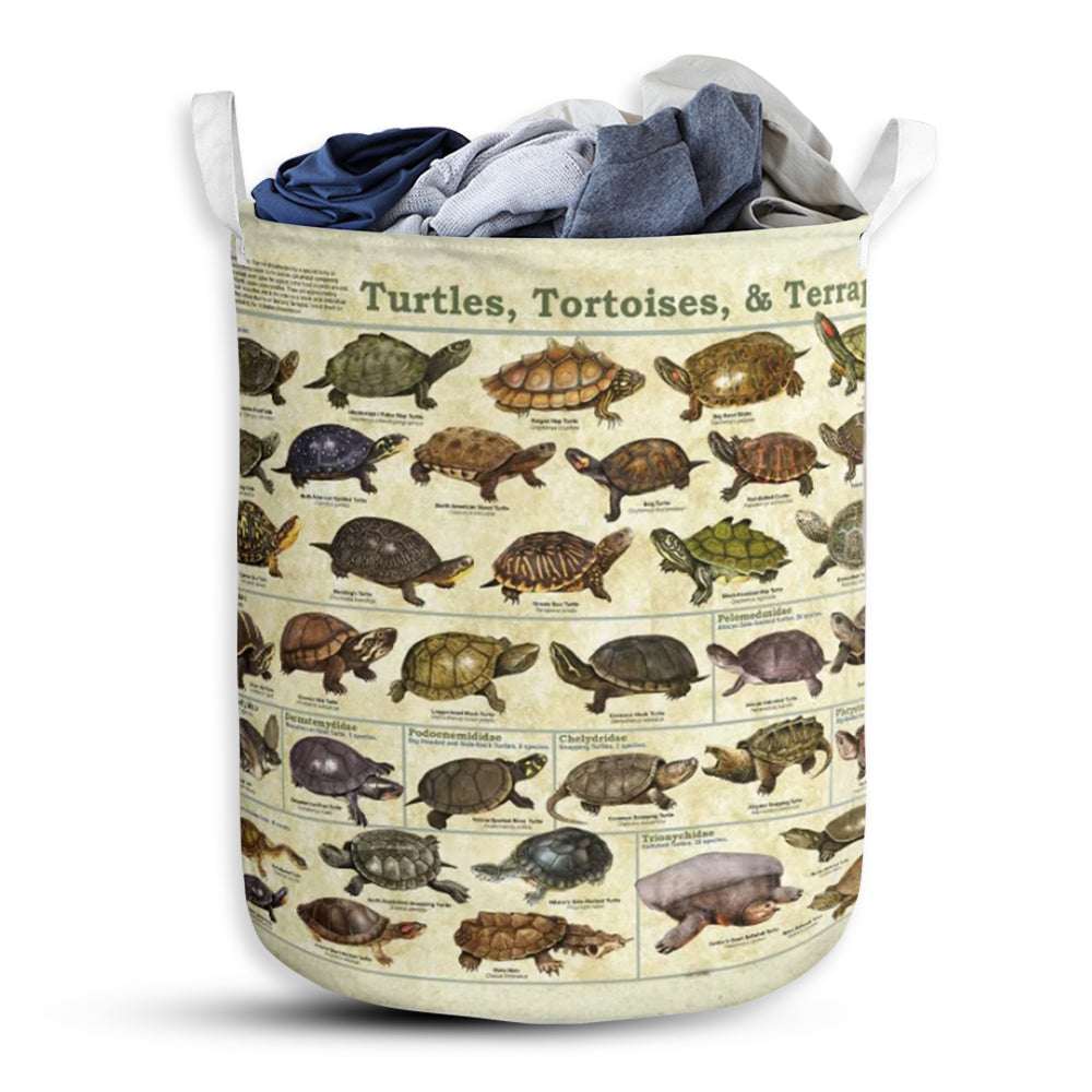 Turtle All Types Diversity - Laundry Basket - Owls Matrix LTD