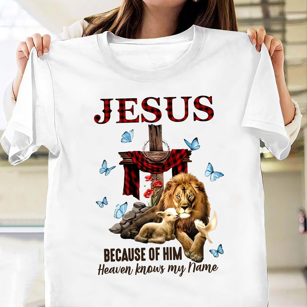FAITH Jesus Lion Lamb THAZ1310005Z Light Classic T Shirt